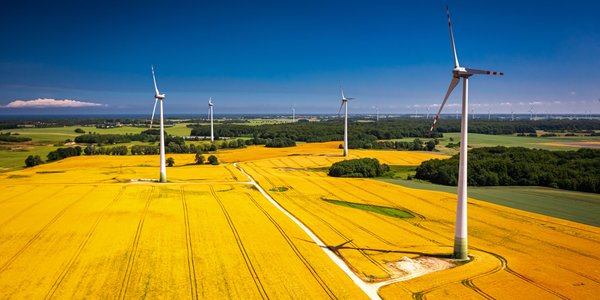 Duńskie łopaty wiatraków produkowane w Polsce trafią do Niemiec