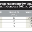 Rosyjskie eldorado dla producentów liczników