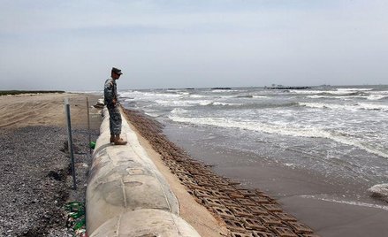 British Petroleum pięć grzechów głównych