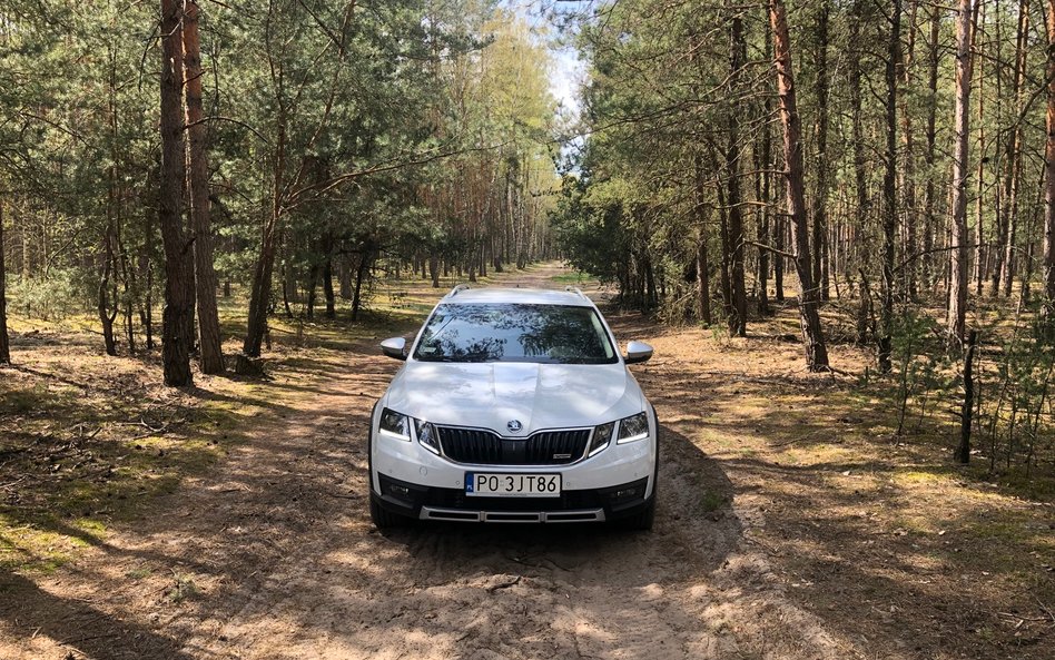 Skoda Octavia Scout 2,0 TDI: Niestraszne jej dziury, niestraszne wyboje