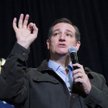 Ted Cruz, nadzieja republikańskich elit