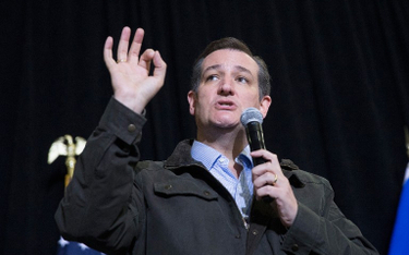 Ted Cruz, nadzieja republikańskich elit