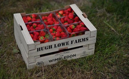 Wimbledon: Losowanie raczej trudne