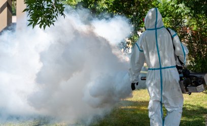 Larwy korowódki dębówki są w Niemczech intensywnie zwalczane. Służby używają do tego środków biobójc
