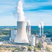 Enea, do której należy Elektrownia Kozienice, tłumaczy, że na wysokość marży wpływają rosnące koszty
