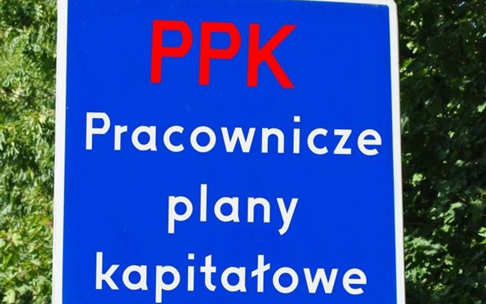 Mocny start pracowniczych planów kapitałowych