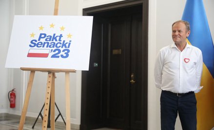 Wybory parlamentarne. Pakt senacki złamany w dwóch okręgach wyborczych