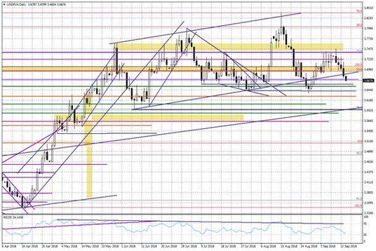 Wykres dzienny USDPLN