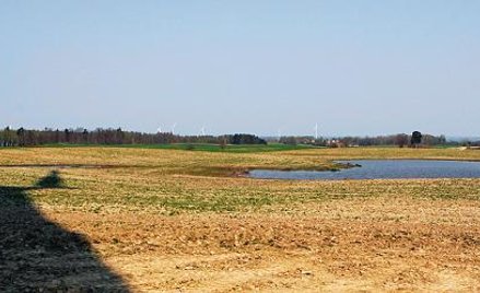 W Polsce farmy wiatrowe są coraz popularniejsze. Jednak nie można ich budować w pobliżu domów ani na