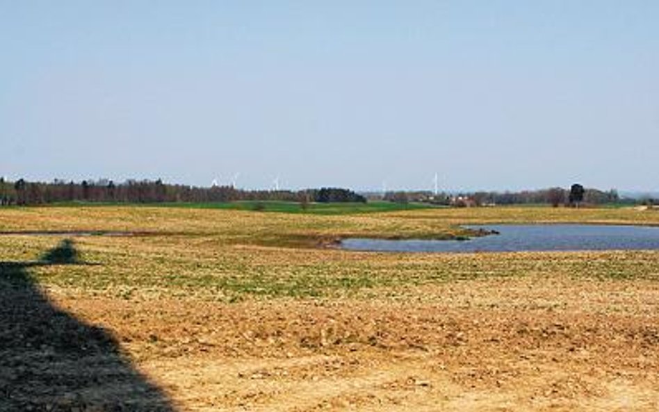 W Polsce farmy wiatrowe są coraz popularniejsze. Jednak nie można ich budować w pobliżu domów ani na