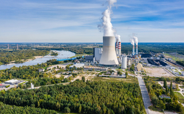 Największy udział w produkcji energii elektrycznej w Polsce mają elektrownie zawodowe