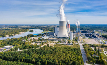 Największy udział w produkcji energii elektrycznej w Polsce mają elektrownie zawodowe
