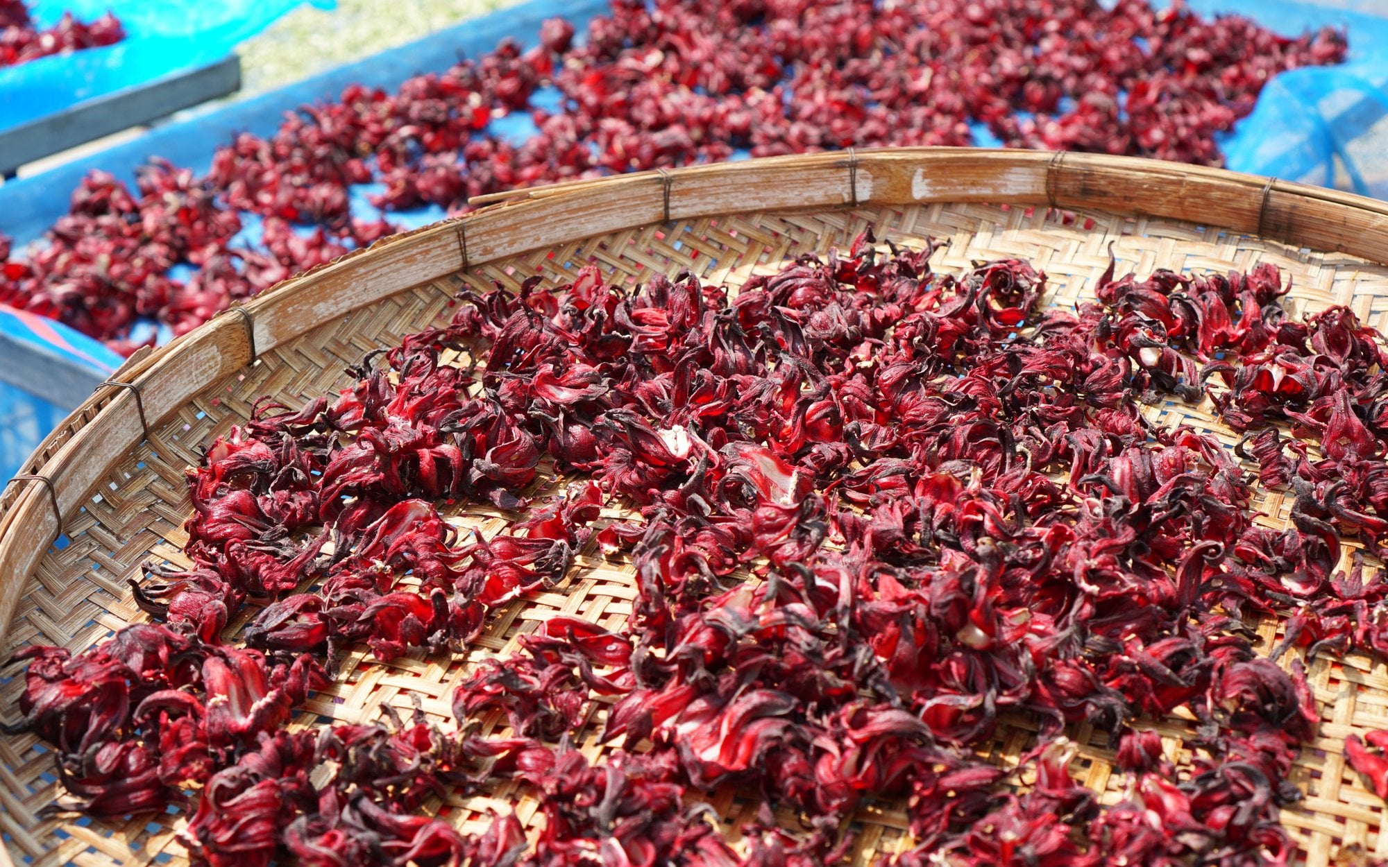 Mówią, iż to "naturalny Ozempic". Naukowcy rozstrzygają: hit czy mit