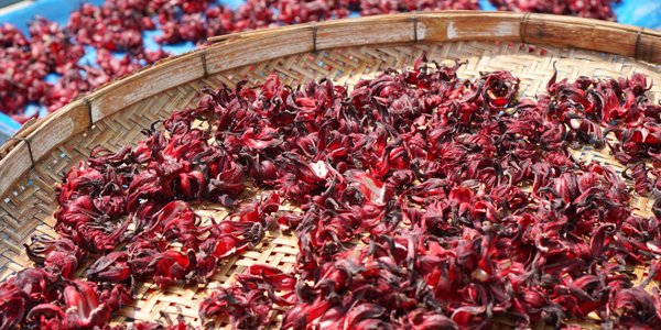 Mówią, iż to "naturalny Ozempic". Naukowcy rozstrzygają: hit czy mit