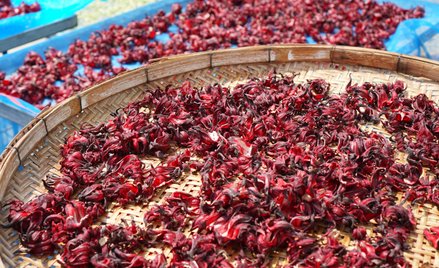 Berberyna. Naturalny Ozempic czy mit?