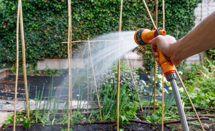 Działkowcy mają płacić więcej za wodę