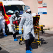 Francja: Liczba ofiar epidemii przekroczyła 6,5 tys.