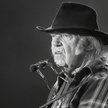 Neil Young kontra Donald Trump w pożarach Kalifornii