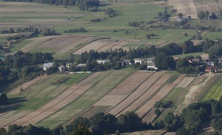 Planując inwestycje, sprawdź przeznaczenie gruntu