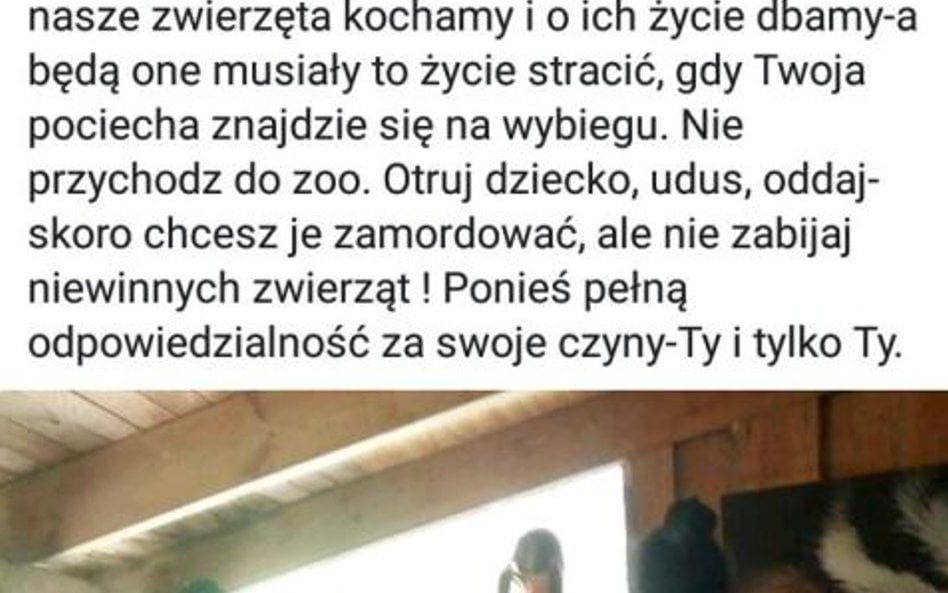Kontrowersyjny wpis zniknął już ze strony poznańskiego zoo, ale nadal można znaleźć go w sieci.