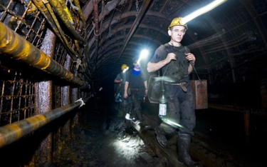 Kompania Węglowa nadal będzie zatrudniać absolwentów szkół górniczych