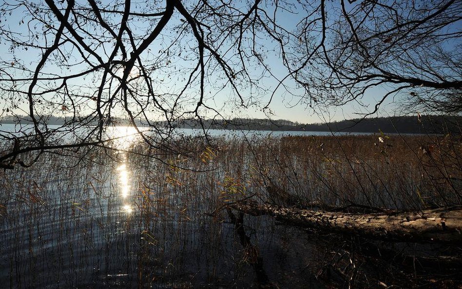 Władza nacjonalizuje na potęgę