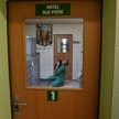 W hotelach dla psów pełne obłożenie