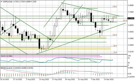 Wykres dzienny USDPLN