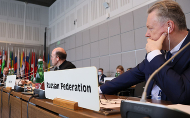 Ambasador Federacji Rosyjskiej przy OBWE Aleksander Łukaszewicz  podczas posiedzenia Stałej Rady OBW