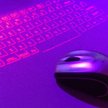 Samospis internetowy. Kłopoty ze spisem powszechnym