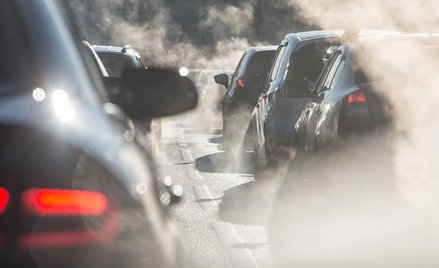 Covid jest dla nas groźniejszy, jeśli oddychamy brudnym powietrzem