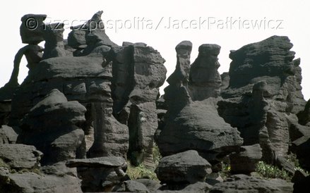 Z powodu zdeformowanej powierzchni poruszanie się po Roraimie jest niebywale utrudnioine