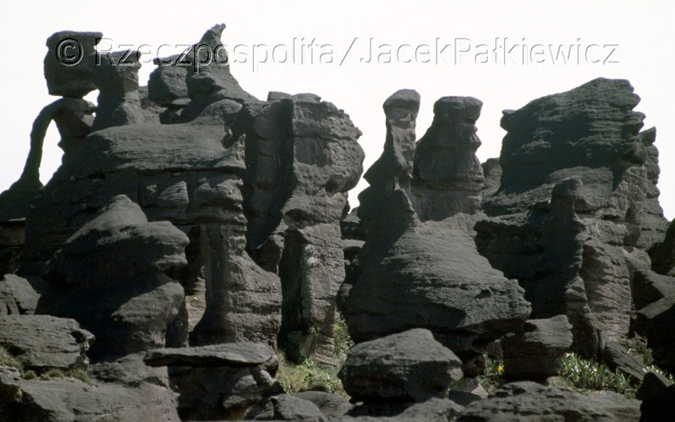 Z powodu zdeformowanej powierzchni poruszanie się po Roraimie jest niebywale utrudnioine