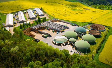 W ubiegłym roku w Polsce liczba biogazowni rolniczych zarejestrowanych w KOWR wzrosła o 15 instalacj