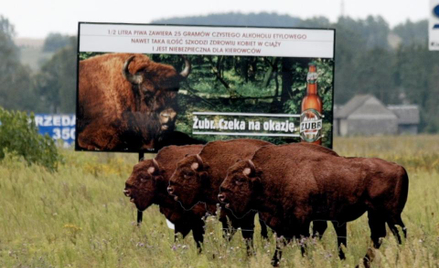 Prawo: Browary mają argumenty