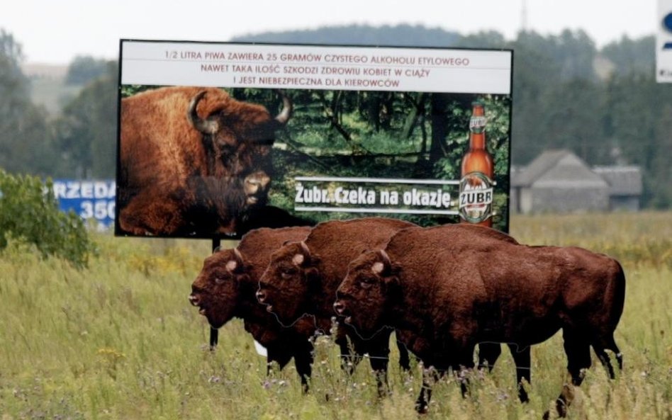 Prawo: Browary mają argumenty