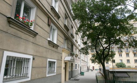 Mirabelka rosnąca przy ulicy Andersa w Warszawie
