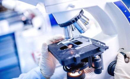 Rozwój nie zachwycił