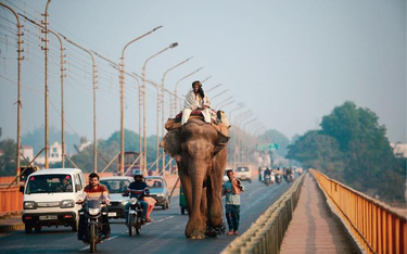 Droga w Allahabadzie, 1,2-milionowym mieście w stanie Uttar Pradesh (700 kilometrów na wschód od sto