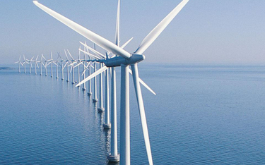 Czy Polska wykorzysta potencjał morskich farm wiatrowych?