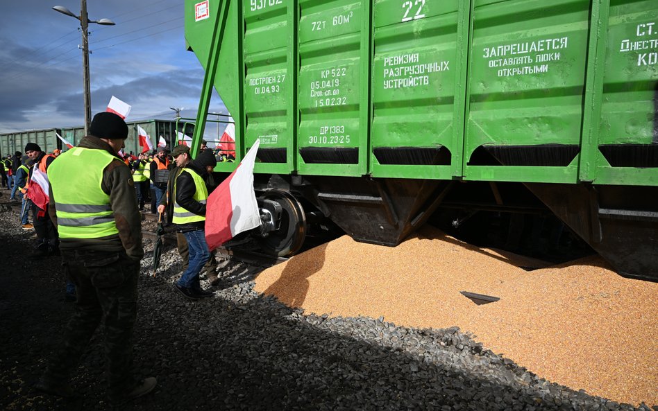 Obecne protesty rolników to skutek problemów, które rozpoczęła „afera zbożowa” – niemal 600 firm spr