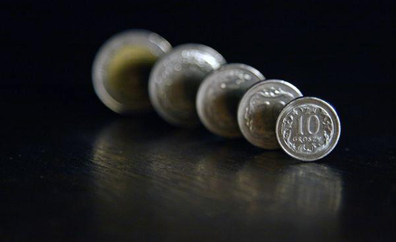 Według Bloomberga złoty stracił w minionym tygodniu wobec euro 1,6 proc.