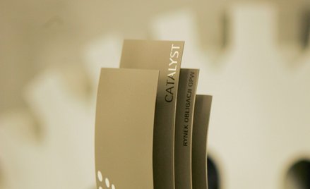 Dług windykatorów ma wzięcie