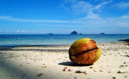 Pracownikowi lepiej dać pieniądze na wycieczkę, niż mu ją wykupić