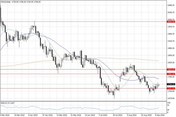 Notowania złota – dane dzienne