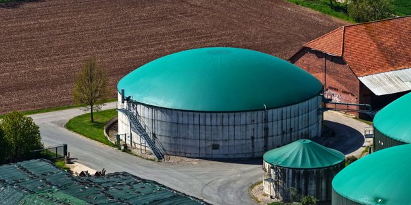 Kryzys rolnictwa zagraża bezpieczeństwu żywnościowemu Polski