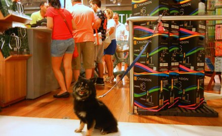 W oczekiwaniu na pana w centrum handlowym