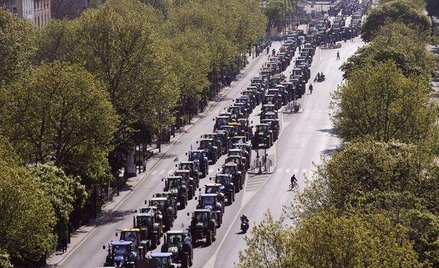 Demonstrują producenci zbóż