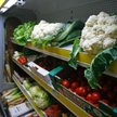 Hodują warzywa na Księżycu!