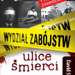 David Simon, Wydział zabójstw. Ulice śmierci, Wyd. Buchmann, Warszawa 2012